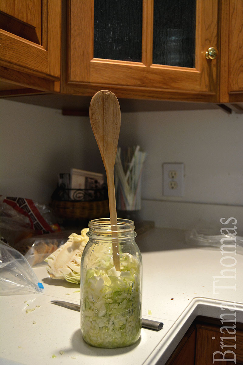 Probiotic Cabbage (lactofermentation for dummies...er...beginners